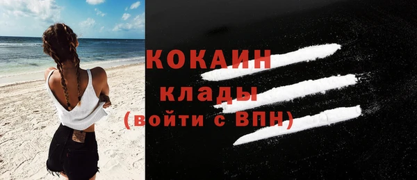 эйфоретик Бородино