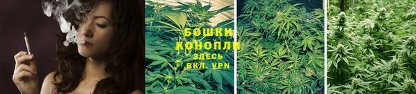 эйфоретик Бородино