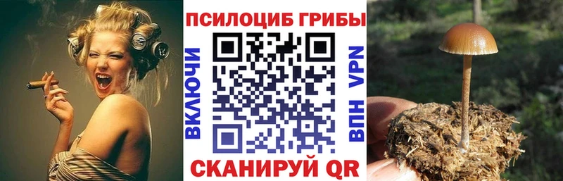 наркошоп  Вичуга  Псилоцибиновые грибы мухоморы 