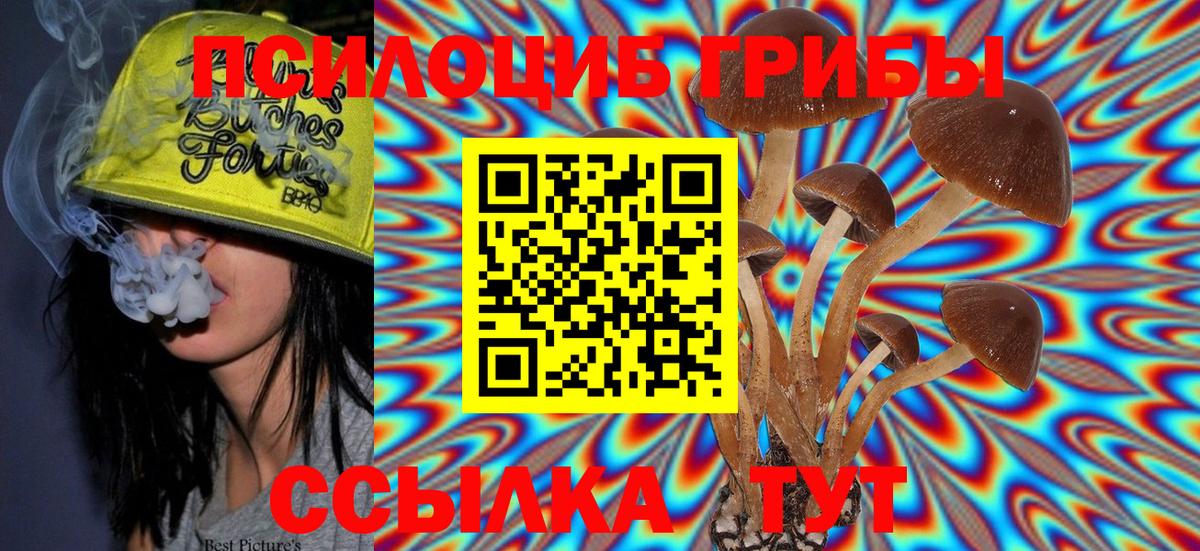 Псилоцибиновые грибы GOLDEN TEACHER Вичуга
