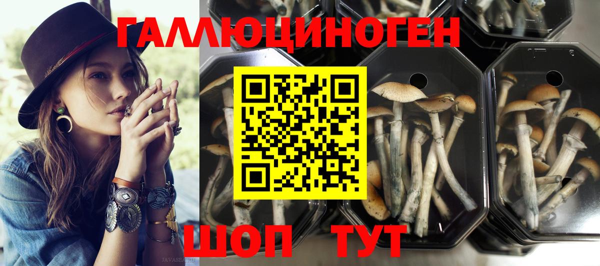 Галлюциногенные грибы Magic Shrooms  Вход с VPN  Вичуга 